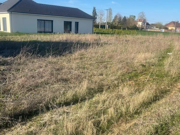 Terrain constructible