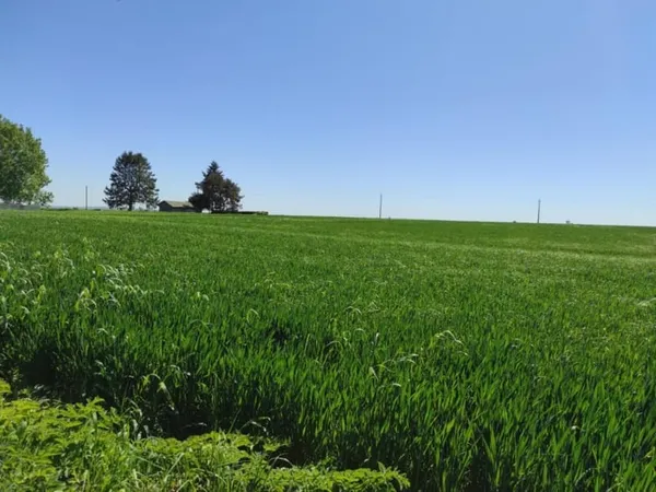 Terrain 1100 m²