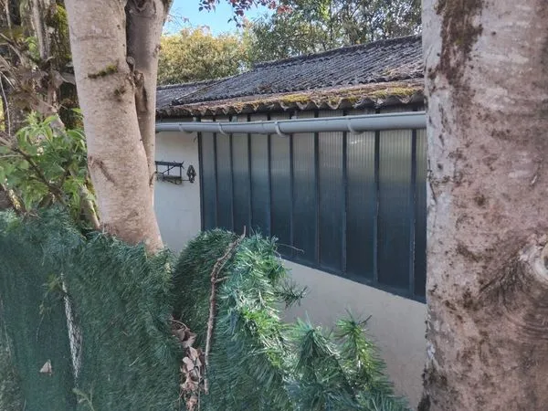 Immobilier ,cabane de jardin