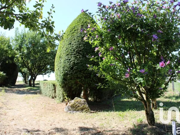 Terrain 1933 m²