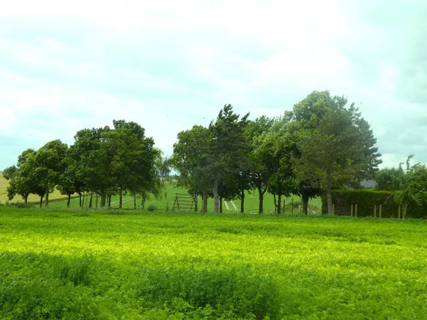 Terrain 615 m²