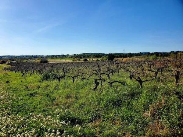 Terrain en lotissement 356 m²