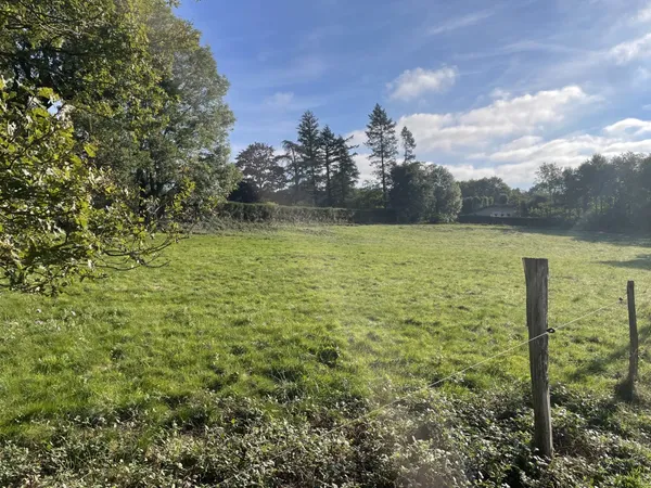 Terrain 1000 m²