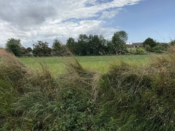 Terrain de 540 m² à GRANZAY-GRIPT
