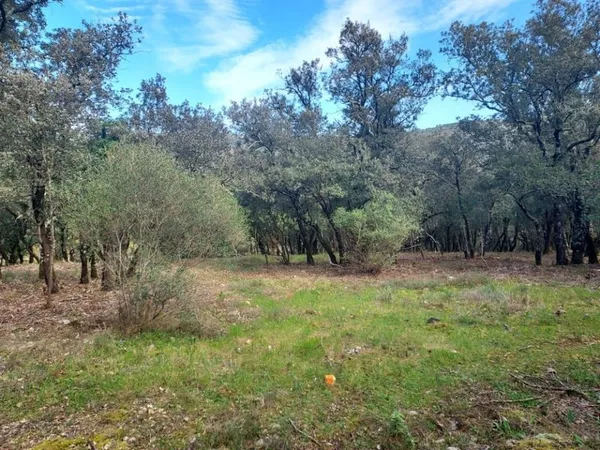 Terrain 850 m²
