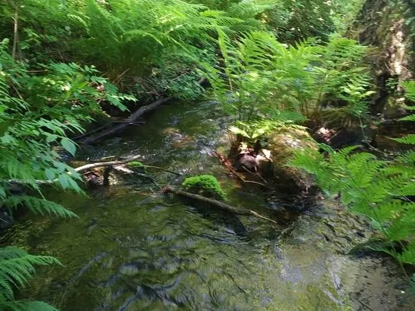 Terrain de loisir
