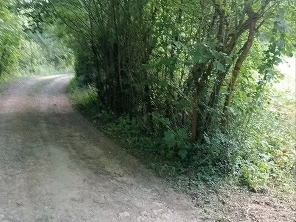 Vends terrain non constructible