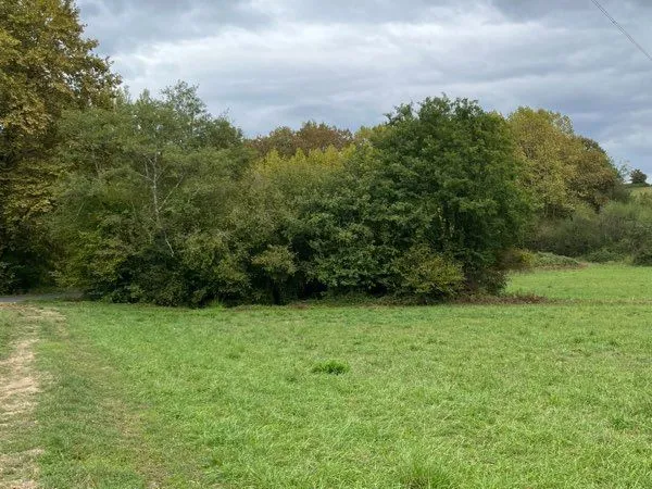 Prairie/terrain agricole 5555 m2