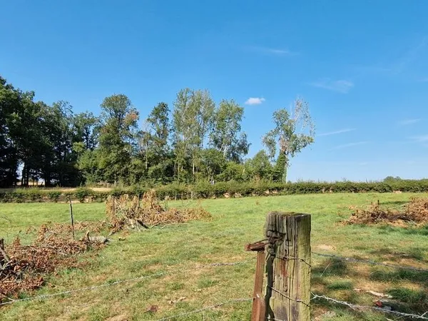 Parcelle de bois a vendre
