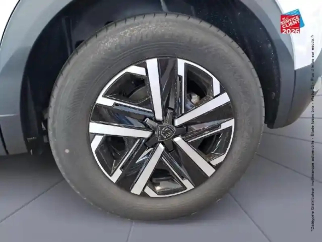 Peugeot 2008 e- 156ch style — photo 25