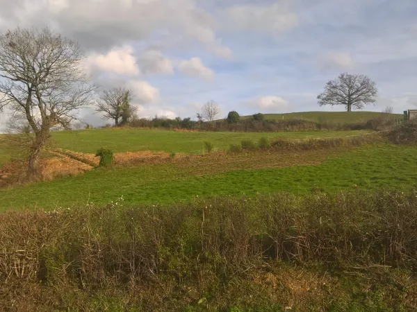 Terrain 1501 m²