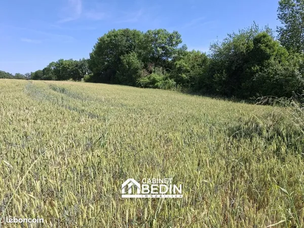 Terrain 1 013 m² Quint Fonsegrives