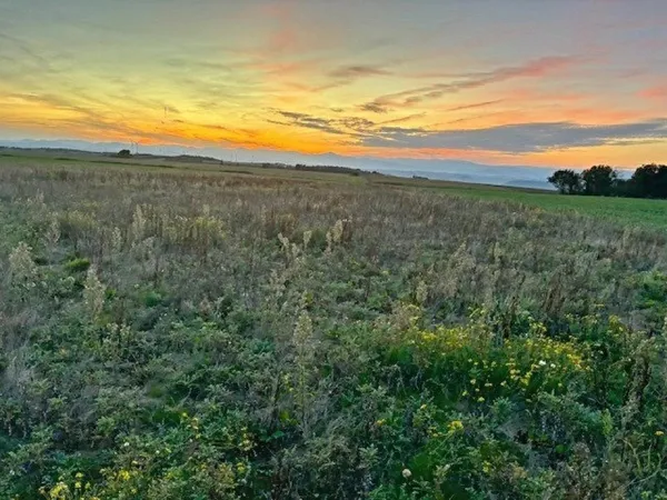 TERRAIN DE 14 820 M² - CALME, PLAT ET BIEN EXPOSÉ