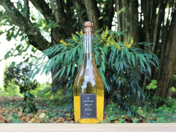 Marque / concept vin de kiwis unique en France