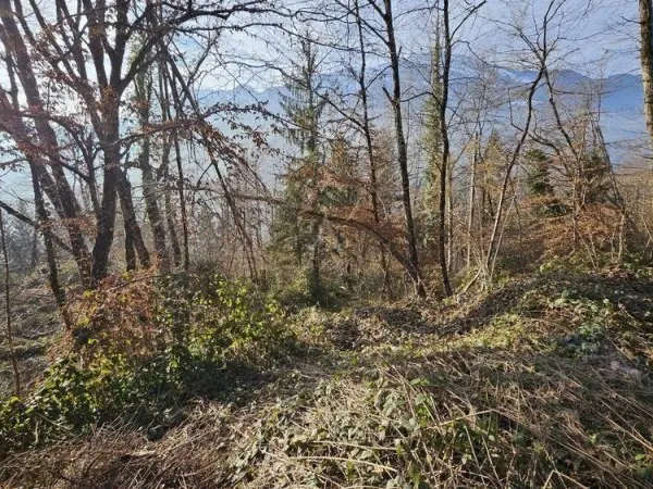 Terrain 38100 m²