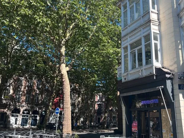 Fonds de commerce bar-restaurant - Lille centre - Licence IV - grande terrasse