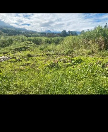 Vente de terrain
