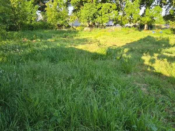 Terrain constructible