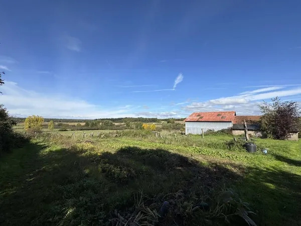 Terrain 29341 m²
