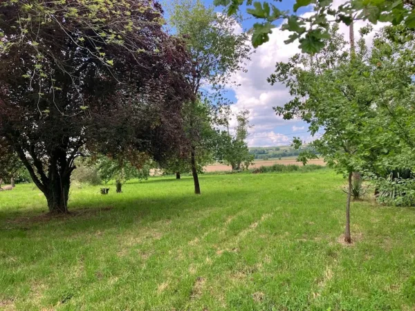 Terrain 1762 m²