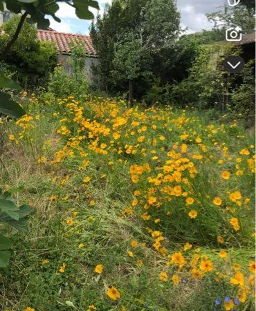 Terrain à bâtir à vendre
