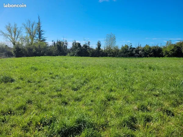 Terrain 2025 m² CASTELNAU MONTRATIER