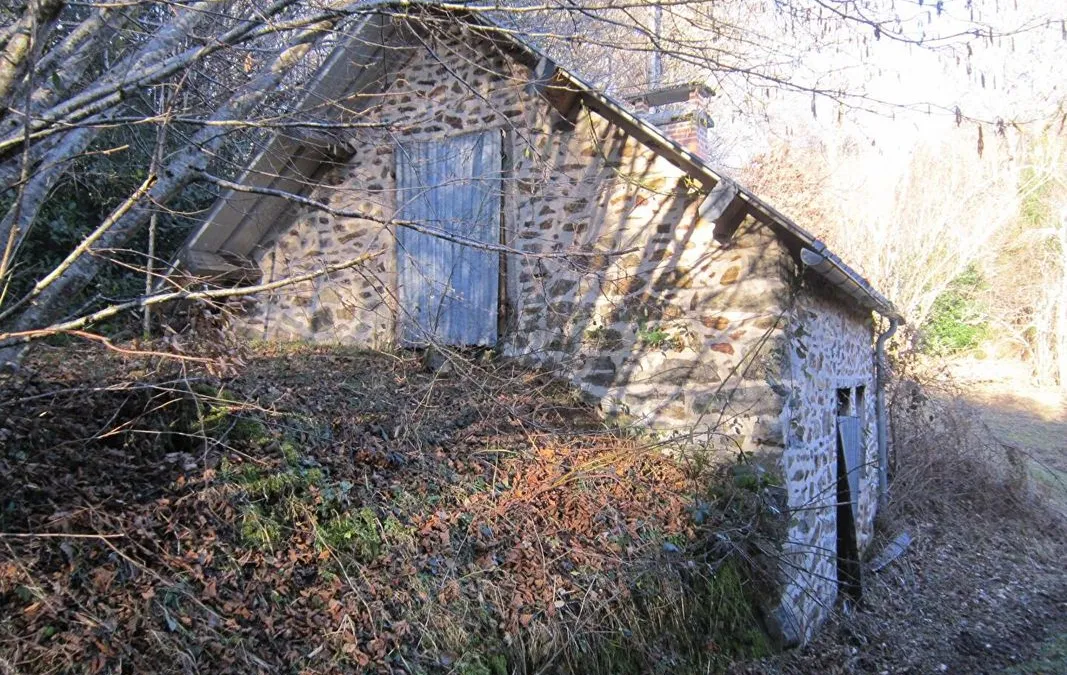 Photo 23