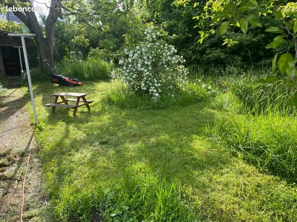 Terrain constructible