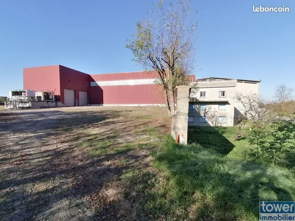 Local 2925 m² Toulouse