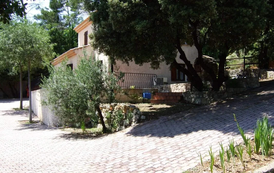 Photo 3