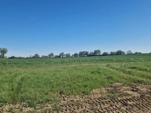 Terrain 423 m²