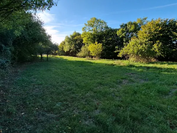 Terrain agricole