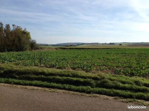 Terrain à bâtir de 1800 M²