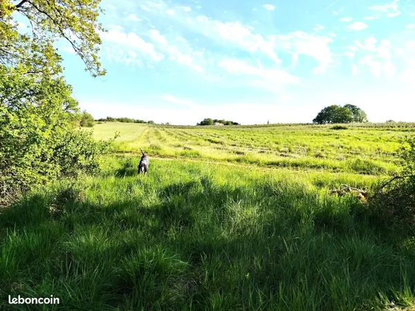 Terrain 4 325 m² Carnac Rouffiac