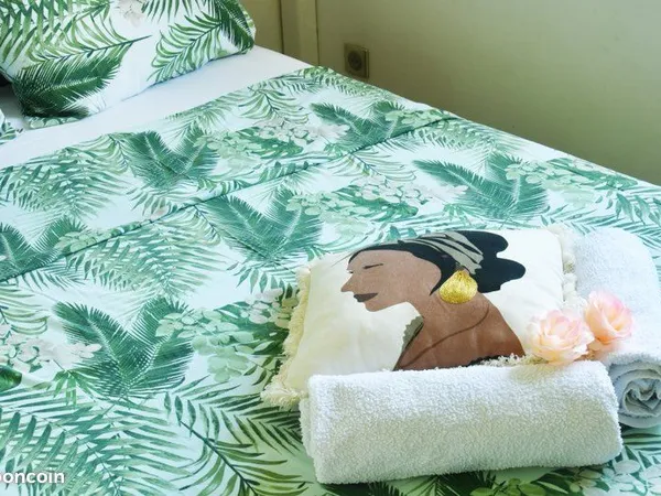 Chambre meublée climatisée en colocation avec piscine & jacuzzi - Le Robert