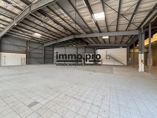 Local 1216 m² Illzach