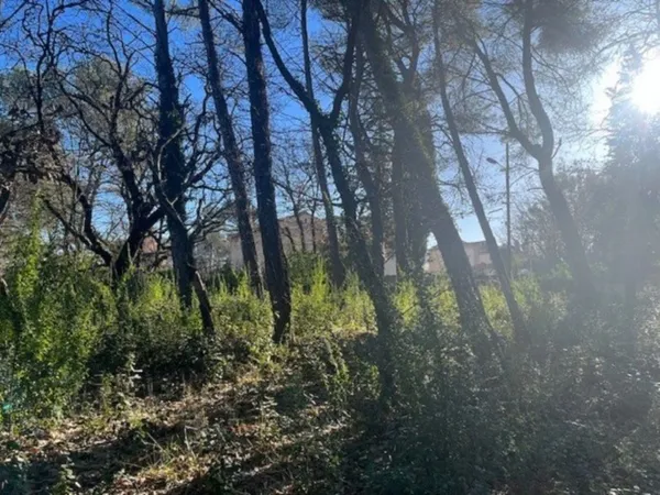 Terrain 800 m²