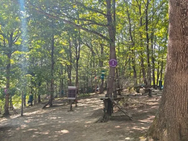 Parc accrobranche
