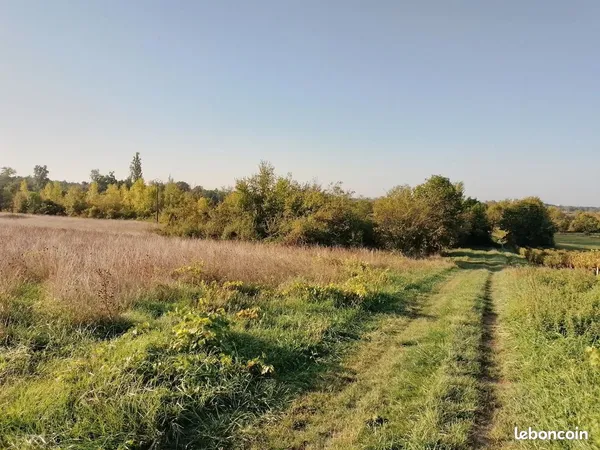 Terrain non constructible 38 876 m2 Agricole à 33710 Prignac et Marcamps