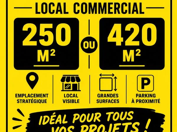 LOCAL COMMERCIAL À LOUER - 250 m² OU 420 m² - EMPLACEMENT STRATÉGIQUE