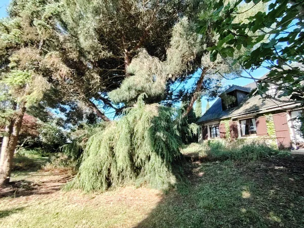 Maison 7 pièces 123 m²