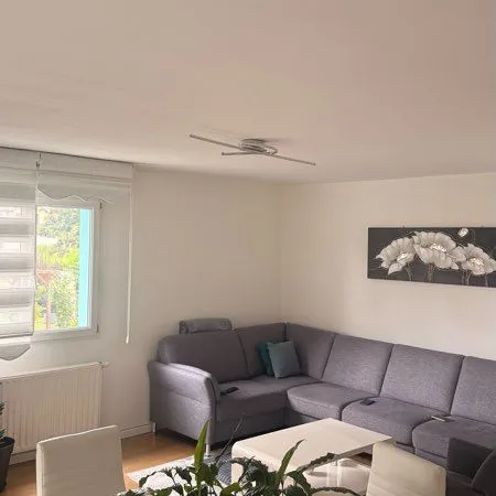 Loue superbe, appartement situé à Biesheim