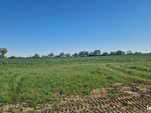 Terrain 750 m² Savonnieres