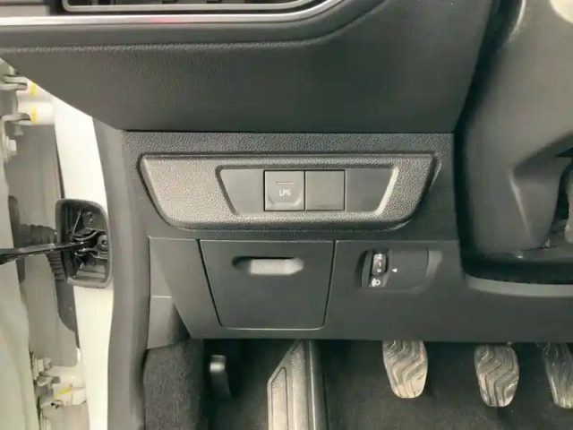 Dacia Sandero eco-g 100 - 22 — photo 21
