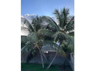 Ensemble immobilier avec 3 logements sur terrain de 423 m²