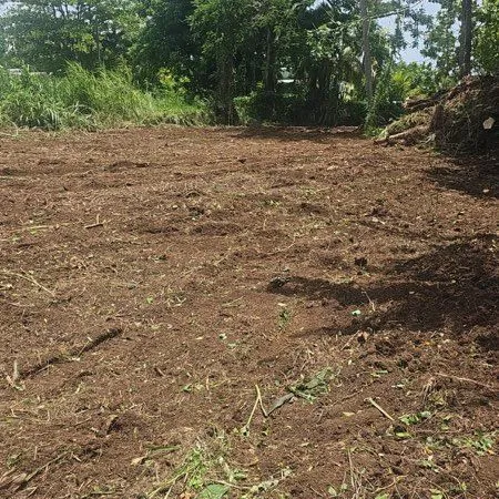 Petit-bourg - terrains à vendre avec projet maison