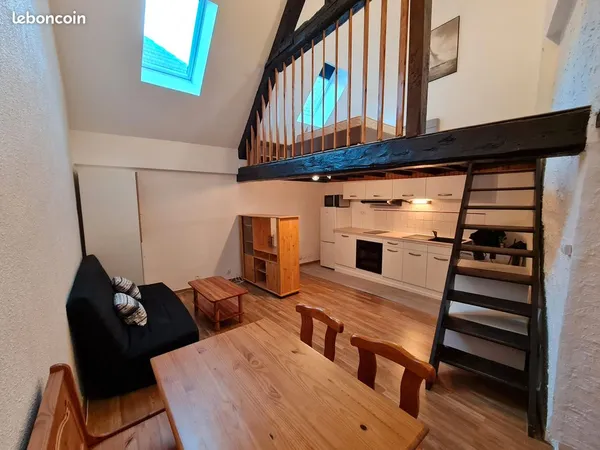 Appartement atypique meublé T1 bis 35m² - Centre Ville Vizille