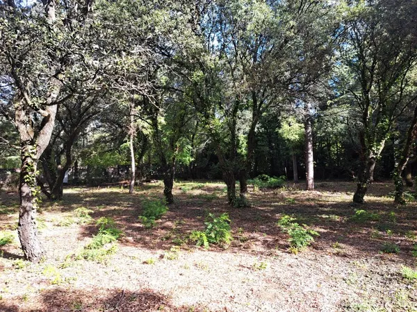 Environnement calme et champêtre