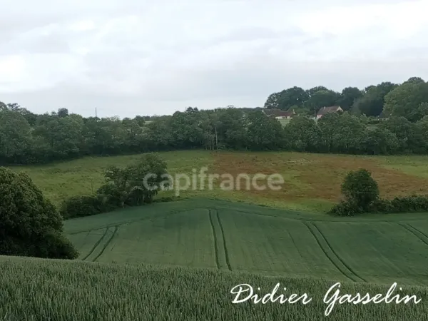 Terrain 249400 m²