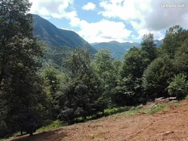 Terrain boisé avec source et ruine cadastrée